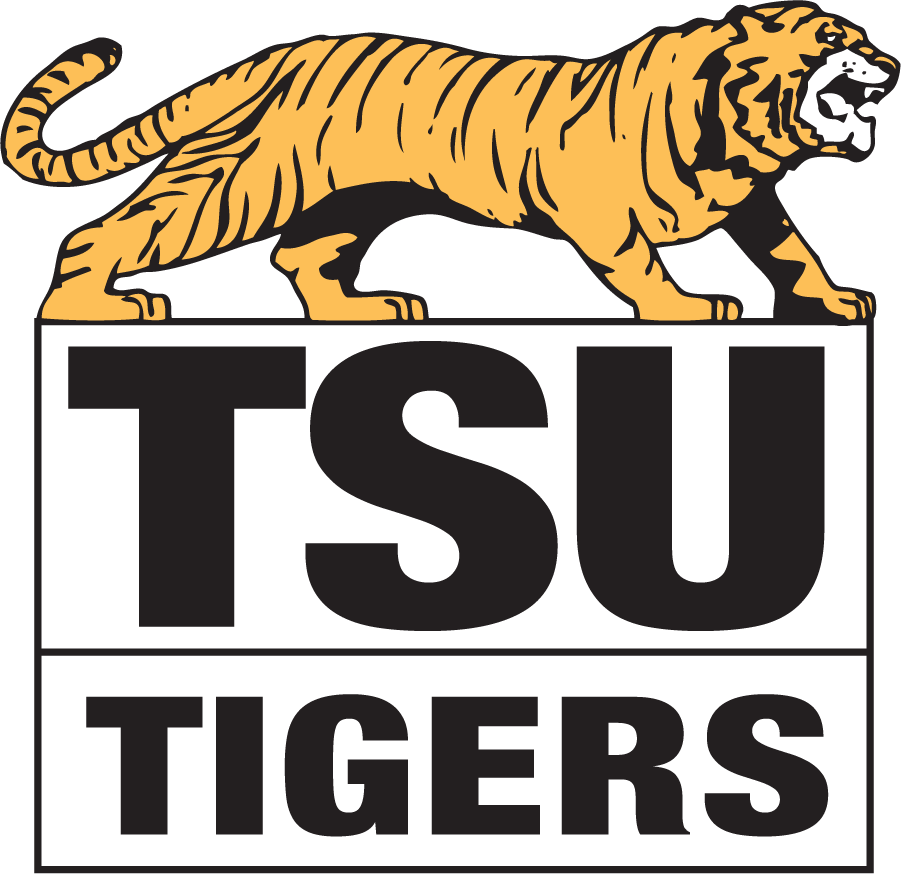 Towson Tigers 1979-1985 Primary Logo iron on transfers for clothing